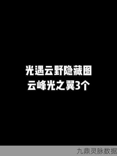 光遇之旅,解锁净化黑暗植物的隐秘地图