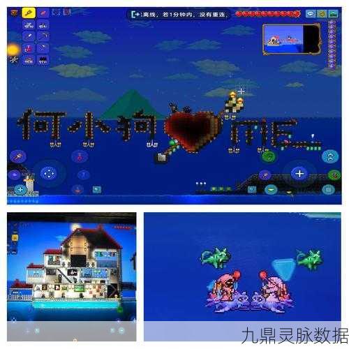 泰拉瑞亚新纪元，萨利瓦宠物，携手共赴奇幻冒险！