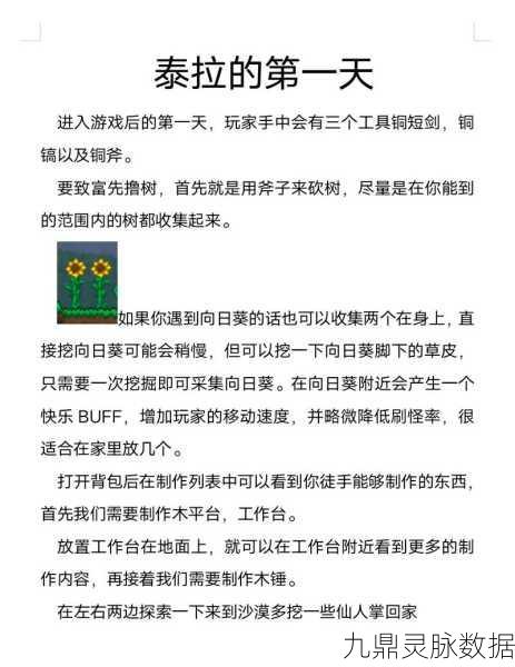 泰拉瑞亚圣诞树打造全攻略