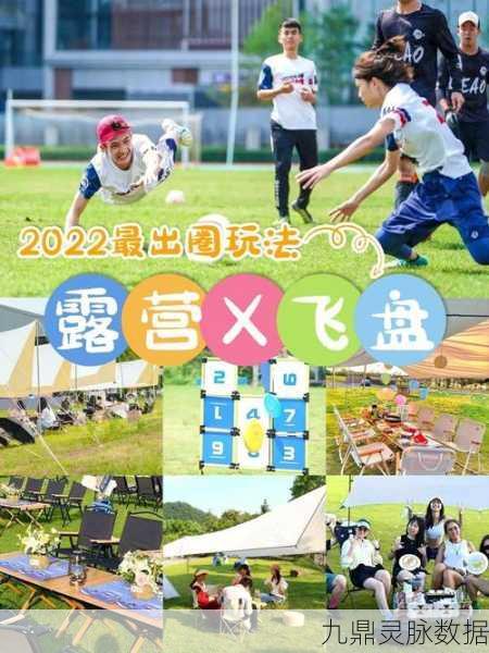 飞盘高手集结号，体验我扔飞盘贼准的极致乐趣
