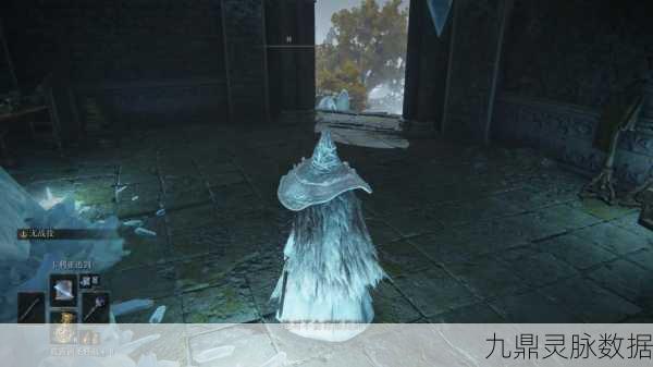 艾尔登法环新揭秘，赛尔维斯徒弟的奇幻之旅