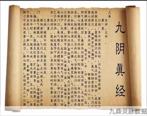 九阴真经再现江湖，绝世招式图鉴与秘籍深度探秘