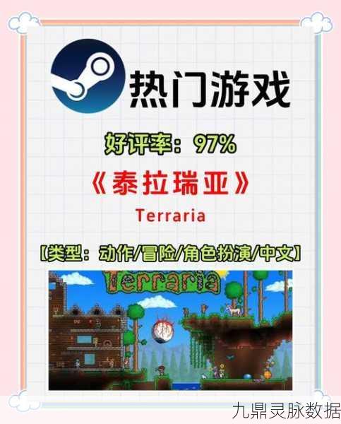 泰拉瑞亚探秘,神秘匣子的宝藏与雏翼的奇幻之旅