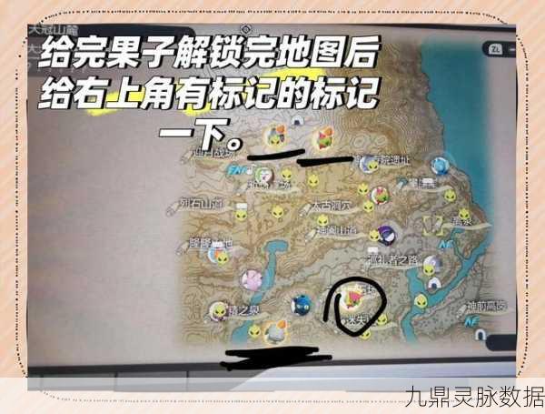 宝可梦剑盾,解锁闪光精灵的捕捉秘籍