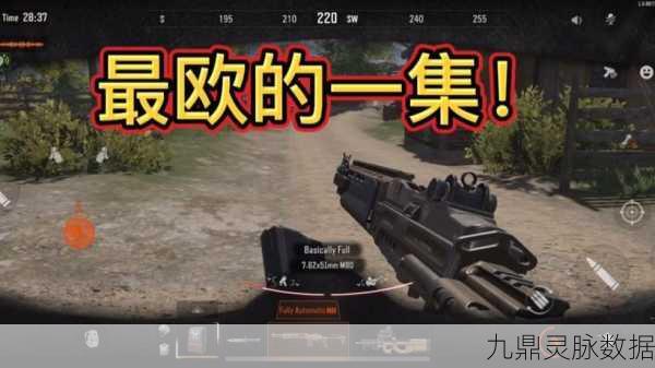 暗区突围深度解析，SJ16步枪的实战艺术与技巧分享