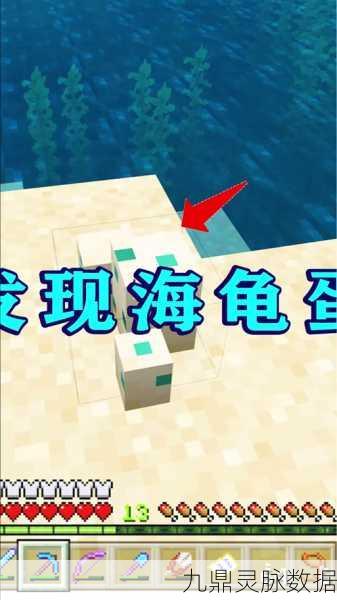 我的世界海龟养殖全攻略，打造你的海洋乐园
