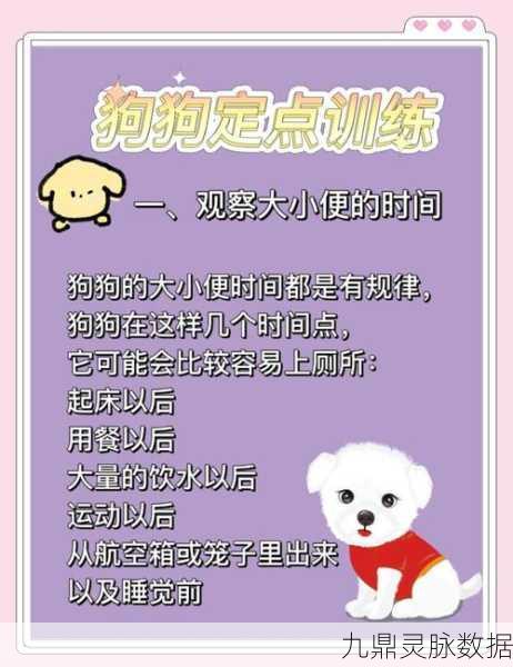 狗狗大本营,益智答题新风尚,休闲闯关乐无边