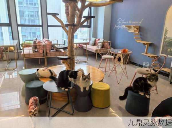 猫餐厅,萌宠经营,打造你的梦幻美食天地