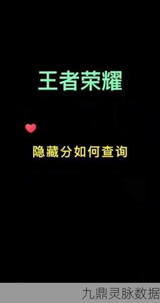 王者荣耀,揭秘查看陌生人隐藏战绩的技巧