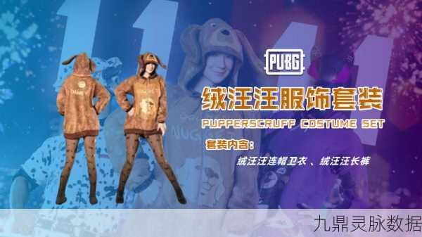 绝地求生,揭秘体验服与正服的区别