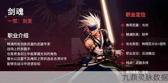 舞动双剑，DNF刺客的极致炫技盛宴