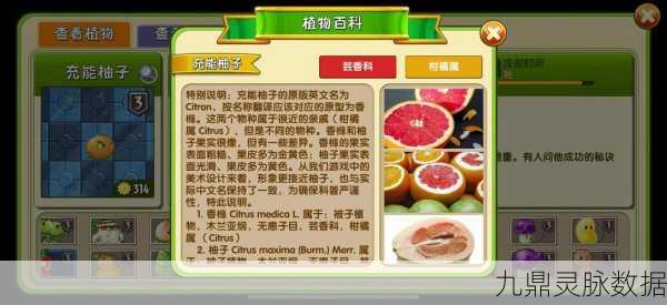 植物大战僵尸,解锁植物盆栽的秘籍大公开