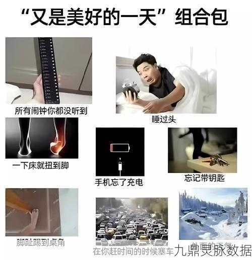 疯狂梗传新挑战，解锁男女出门差距攻略，揭秘出行奥秘，畅游无忧！