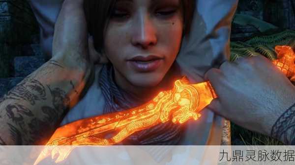 孤岛惊魂3破解补丁安装全攻略,详解bin文件夹覆盖操作