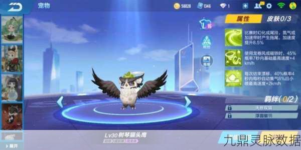 QQ飞车手游西瓜小子萌宠获取全攻略