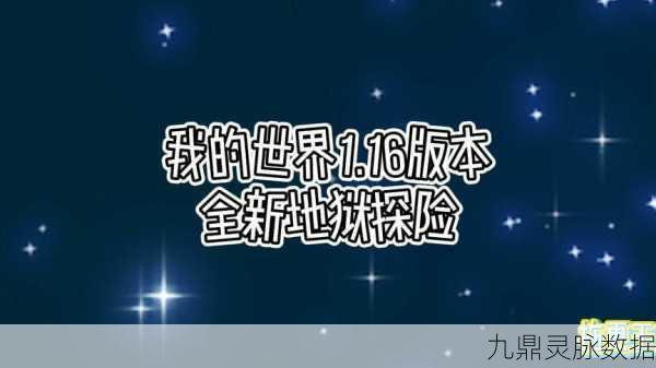 正版我的世界探秘,付费之谜全面解析