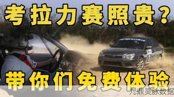 泥土拉力赛车安卓版，沉浸式竞速，挑战极限驾驶