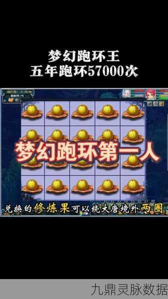 梦幻西游跑环等级全攻略,规划路线,畅享游戏新体验