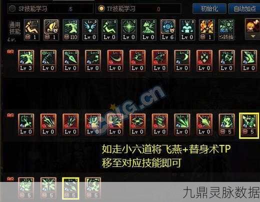 DNF100级忍者，核心技能加点与高效连招全攻略