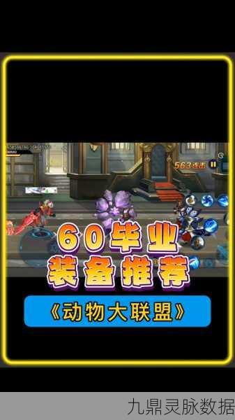动物大联盟,气功师装备搭配全攻略