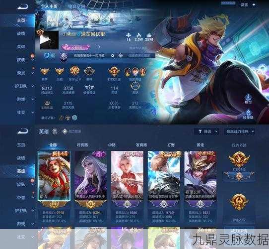 王者荣耀蓝标限定与红标限定,深度解析与对比