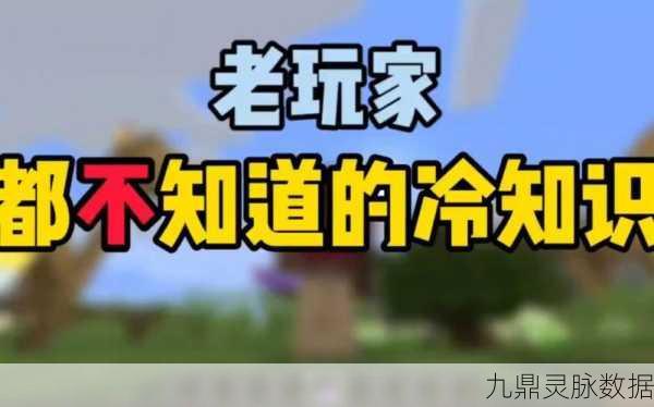 我的世界黑屏困扰?资深玩家教你轻松破解!