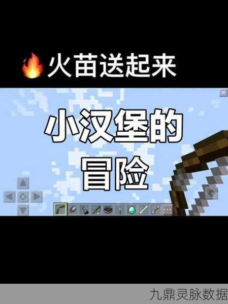 我的世界国服独家定制版，重塑沙盒游戏新纪元