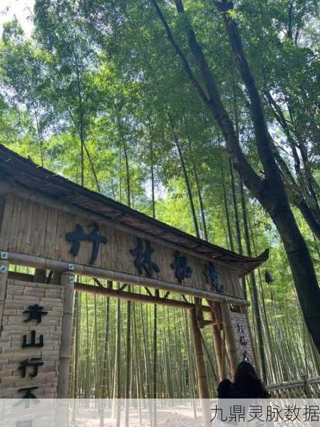 探秘天涯明月刀，竹笋采集秘籍，解锁竹林秘境的味蕾盛宴