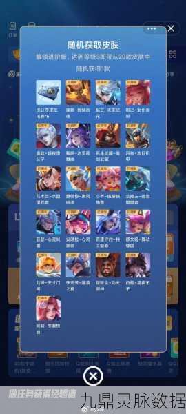 王者荣耀鹅毛市集，解锁游戏新福利的钥匙