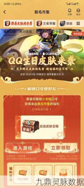 王者荣耀鹅毛市集,解锁游戏新福利的钥匙