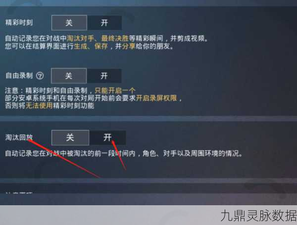 和平精英淘汰回放功能缺失之谜