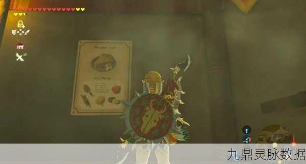 塞尔达绝壁花纹，解锁隐藏秘密，全新互动元素大揭秘！惊喜连连！