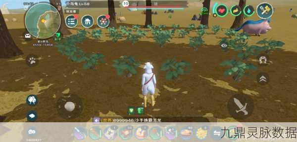 海鳄龙驯服宝典,解锁创造与魔法饲料配方终极奥义