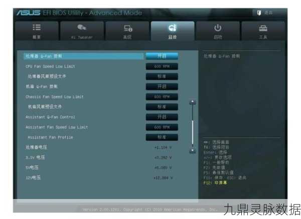 灵魂宝戒，新手启程的全面导航与实战秘籍
