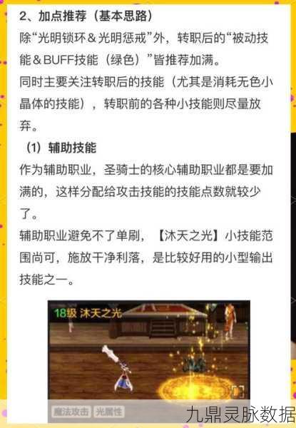 2025年地下城堡2,SS圣骑技能调优深度解析