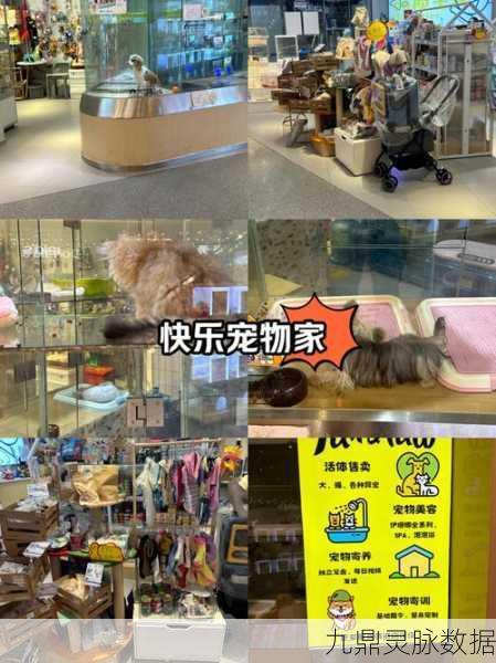 疯狂宠物，打造你的梦幻宠物乐园，尽享模拟经营乐趣