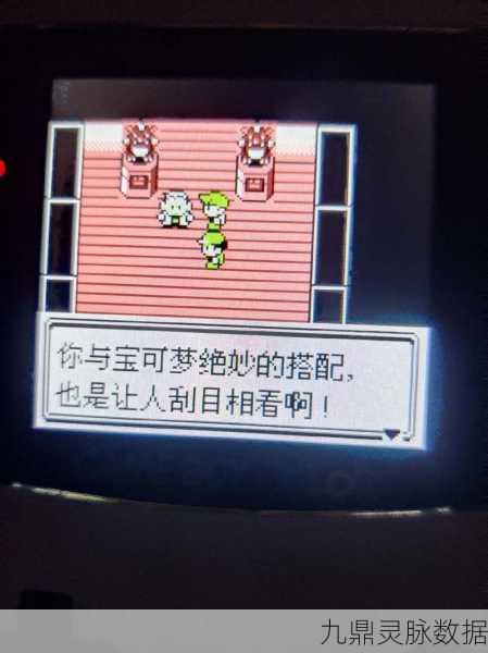 口袋妖怪单机版，揭秘达西公馆的通关秘籍