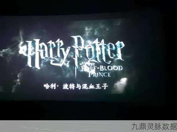 哈利波特手游新篇,揭秘混血王子的魔法世界