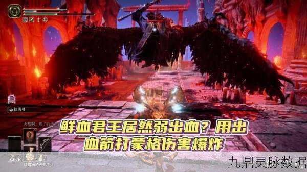 艾尔登法环,弓箭羽毛的奥秘与效用