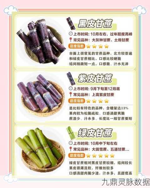 小森生活甘蔗获取全攻略,解锁甜蜜制作秘籍