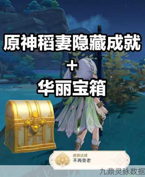 稻妻秘境探秘,原神稻妻隐藏华丽宝箱获取全攻略