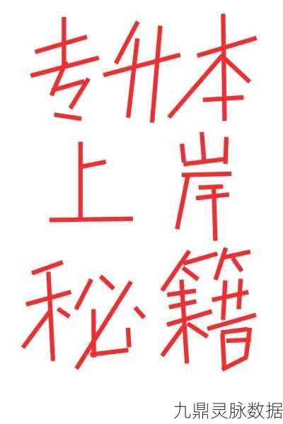 泰拉瑞亚存储大师之路,存储单元全面解析与精通秘籍