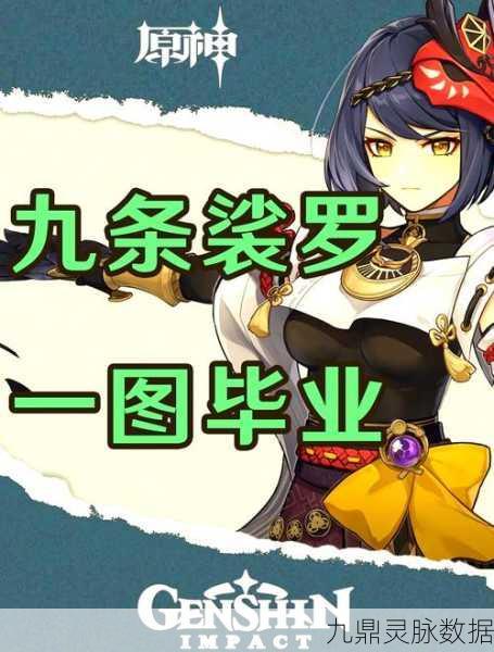 原神深度探索,揭秘九条裟罗伤害输出的核心属性