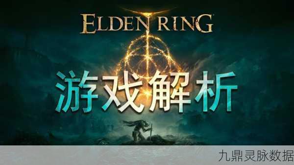 艾尔登法环中文设置秘籍,一键解锁语言转换,畅游奇幻世界