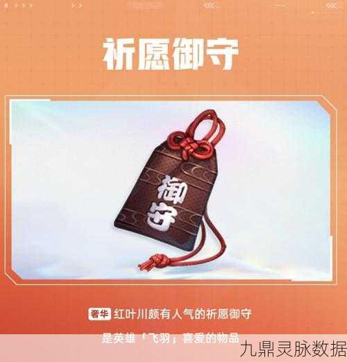 天启行动飞羽，技能深度剖析与高效升级秘籍