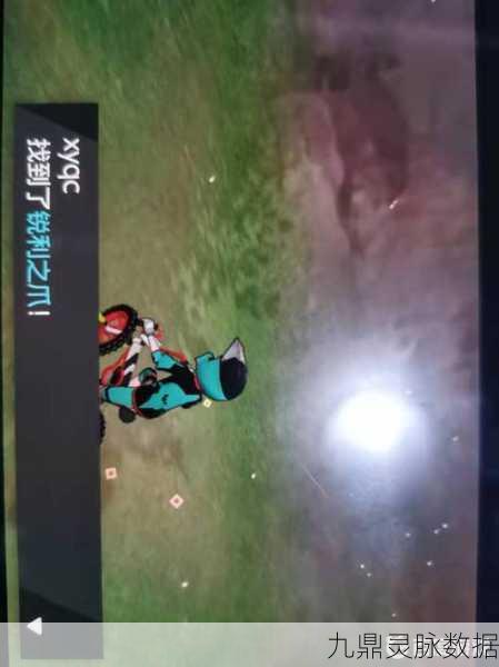 宝可梦剑盾，解锁锐利之爪的获取秘籍