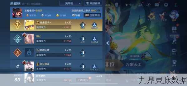 王者荣耀荣耀之星,揭秘市第三李元芳的登顶传奇