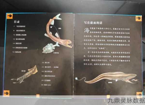 宝藏世界海洋探索者,解锁深海奥秘,属性搭配助你扬帆起航