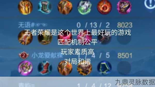 王者荣耀个人游戏标签,个性化展示的快捷通道