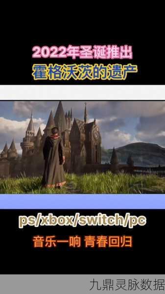 Switch版霍格沃茨遗产，详尽攻略助你畅游魔法世界